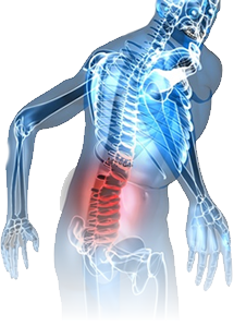 Dolor de espalda ¿Cómo funciona nuestra columna vertebral? - Paco